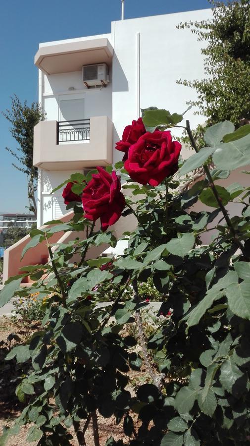 Yannis Apartments Amoudara  Экстерьер фото